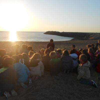 Lecture au coucher du soleil